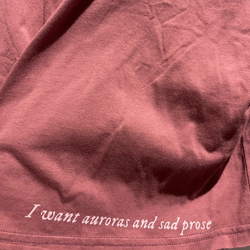 NWT Taylor Swift the lakes crop top